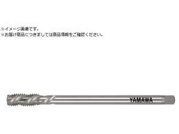 } OXpC^bv ˂p LS-SP LH L150 P2 M10X1.5 LS-SP-LH-P2-150-M10X1.5