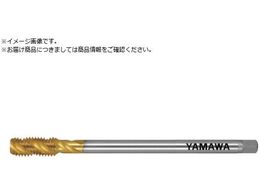 } OR[eBOXpC^bv LS-SP V L150 P2 M10X1.25 LS-SP-V-P2-150-M10X1.25