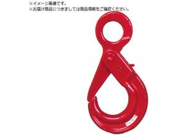 {Nv SbNtZ[teBtbN SFB-1.2