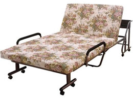 t@~[ECt It[NCjOxbh 蓮 0255710