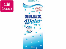 Gr[ JsXEH[^[ (LL) pbNX 250ml 24{