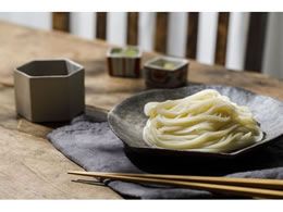 海津屋 氷見うどん 細麺 国内産小麦100 使用 0ｇ Forestway 通販フォレストウェイ