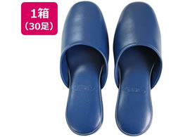 XgO Rۃrj[Xbp(EVA) u[ 30 10-1-254-92