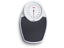 seca �A�i���O�t���b�g�X�P�[�� �̏d�v 25-3211-01 SECA750(�N��)