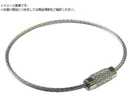 jbT`FC XeXL[C[ 100 SKE-101