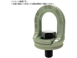 Crosby XChbN SL-150-M24