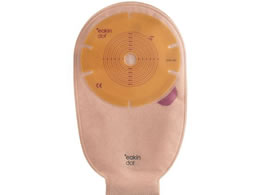 �C�[�L���W���p�� �C�[�L���h�b�g �h���i�u�� ���� �X�g�[�}���� 25-2072-01 840303NF(15-70)10�}�C