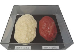 �C���C�T���v�� �ؓ��Δ�Z�b�g 1Kg SKT-010