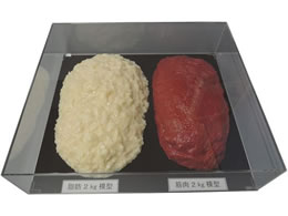 �C���C�T���v�� �ؓ��Δ�Z�b�g 2Kg SKT-020