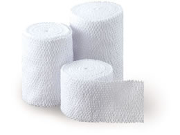 ���{�q�� �V�F���^�C(R)�E�z���C�g(�L�k���)4�� 10���� 61-8510-22