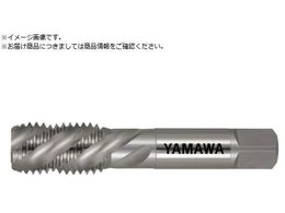 ���}�� �X�p�C�����^�b�v ���˂��p SP LH P4 M30X3.5 SP-LH-P4-M30X3.5