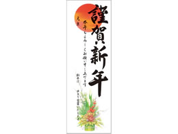 �T�T�K�� �N��|�X�^�[ 6�� �叼 5���� 29-98