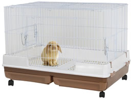 }J ̃J^P[W ChB MR-999