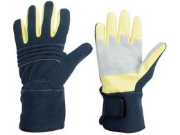 ~hS hEW[p hΎ ؊v⋭^Cv LL