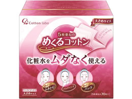 RbgE{ ߂Rbg 傫߃TCY 70