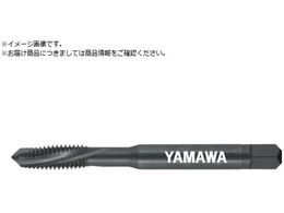 ���}�� �X�e�����X�|�p�ʂ茊�p�X�p�C�����^�b�v SU+SL P2 M6X1 SU-SL-PM6X1