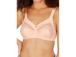 �V�O�}�b�N�X �C�T�h���u���b�V�� 886141(85A)