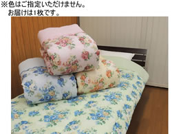 �t�@�~���[�E���C�t �F���܂������{���K�[�[���z�c �V���O�� a36727