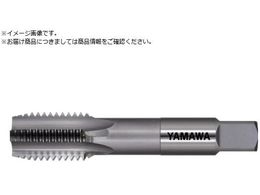 ���}�� ���S�p���d�n���h�^�b�v N-CT FC P3 M14X1.25 3P N-CT-FC-P3-M14X1.25-3P