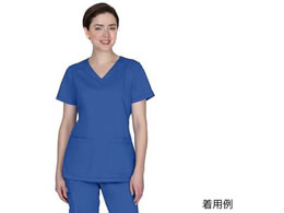 Healing Hands �X�N���u�g�b�v�X JILL L ���C�����u���[