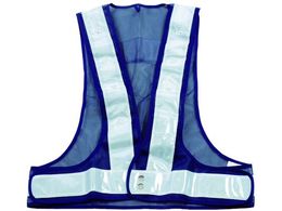 TRUSCO LED�t���S�x�X�g �l�C�r�[�~���ˍރV���o�[ �FLED