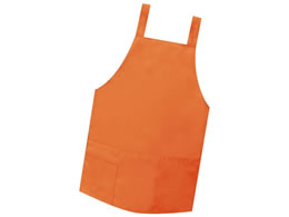 �t�@�[�X�g���C�g �V���[�g�G�v���� �I�����W FR-5801