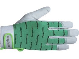 yMG[X Y{v GJ[ O[ELLTCY