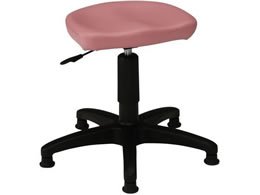 �j�V�L�H�� �N�����P�`�F�A �Œ�S���r �s���N MS-31P