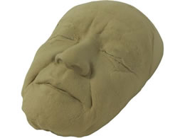 �o�C�I�X�L�� �G���[�����C�N���f�� ���㏈�u�p�i 25-2417-00 BMK-70