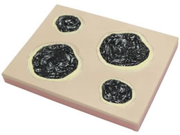 �o�C�I�X�L�� ��ጐ؏����f�� �؏��g���[�i�[ 24-8252-00 BBS-18