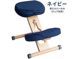 {쏊 v|[V`FApւJo[ lCr[ CV-N8W