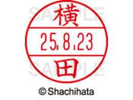 V`n^ f[^[l[EX15  c XGL-15M-1966