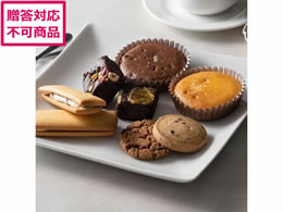 zeI[N XC[cMtg 13 HOI-01A