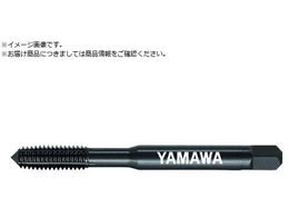 ���}�� �X�`�[���p���[���^�b�v N+RZ G8 M3X0.5 P N+RZ-G8-M3X0.5-P