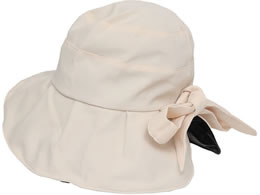 �q���J�� ���������Ղ�X�q �A�C�{���[ QT-645