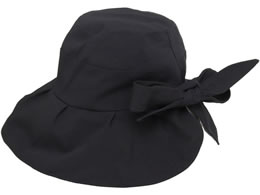 �q���J�� ���������Ղ�X�q �u���b�N QT-646