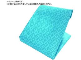 TRUSCO a݃V[g 5.4mX5.4m ^[RCYu[