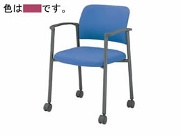 RN cpCX100 z It LX^[ O[r }[