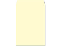 e[vtJ[ p2 tbVg[ N[ 100 K2S541F