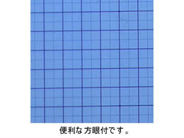 サンスター文具 方眼下敷 A4 セクト S4104102 通販【フォレストウェイ】