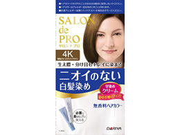 _ T h v wAJ[ ߃N[ p 4K