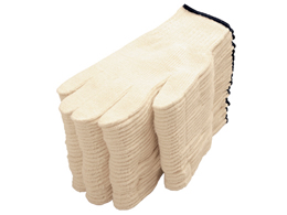 ~^jR[|[V vpȍR E 202437