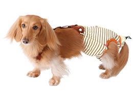 ペティオ ずっとね 老犬介護用 おむつパッドk Mサイズ Forestway 通販フォレストウェイ ペティオ ずっとね 老犬介護用 おむつパッドk Mサイズ Forestway 通販フォレストウェイ