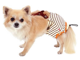 ペティオ ずっとね 老犬介護用 おむつパッドk Sサイズ Forestway 通販フォレストウェイ