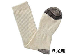 �A�g�� �̂т̂ьC��-���(�L�i��) 5���g BP2310