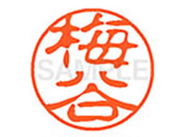 V`n^ XL-11(~J) XL1100397