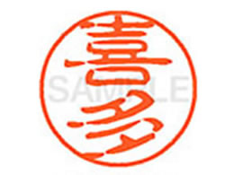 V`n^ XL-11(쑽) XL1100913