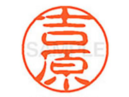 V`n^ XL-11(g) XL1101979