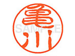 V`n^ XL-11(T) XL1102100