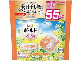 P&G {[hWF{[4D VgX̍  KW{ 55